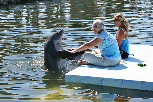 dolphin_research_center1