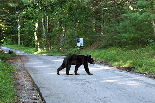 Cades Cove, Smoky Mountain National Park