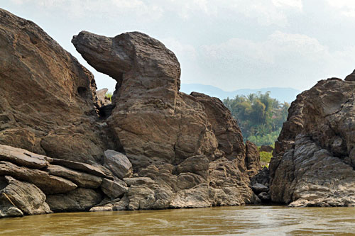 Rocky retriever on the banks of the Mekong River, seen from our slow boat to Luang Prabang, Laos