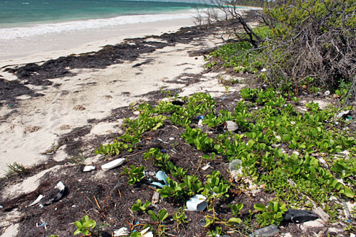 More trash on beaches in Yucatan Peninsula, Mexico