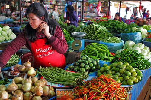 Luscious Laotian fresh vegetables