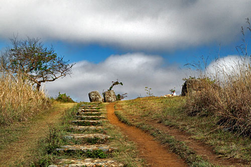 Steps leading to jars on hilltop at Site 1 at Plain of Jars in Phonsavan, Laos
