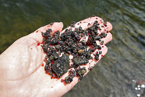 Blood red garnets scooped up from the lakeshore