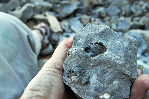 Herkimer Diamonds exposed within the limestone matrix