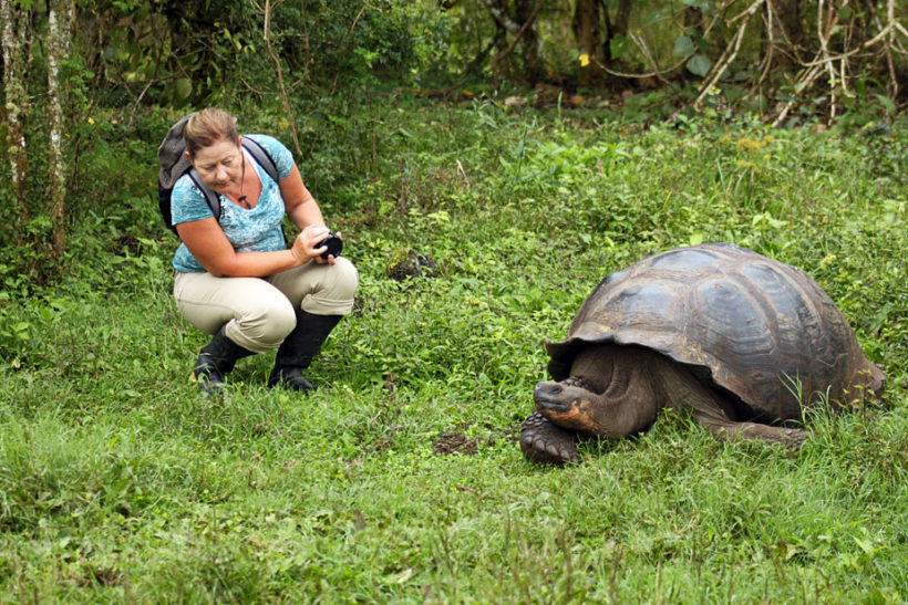 PHOTO: Giant Tortoise, Galapagos Islands, Ecuador