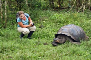 Saving the Giant Land Tortoises, Galapagos Islands, Ecuador