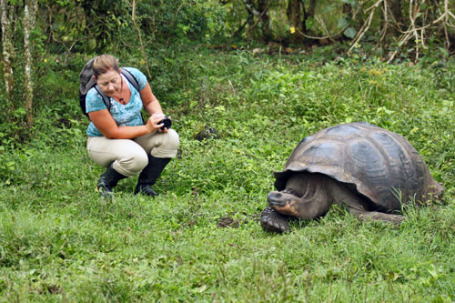 Giant land tortoise in the highlands of Santa Cruz Island is brave enough to check out my sister, Nancy