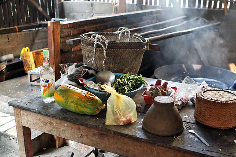 Cat Curls Among Ingredients Laid Out for Making Rice Cakes in Luang Prabang, Laos