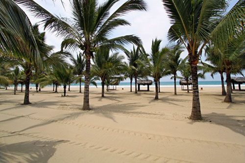Beach in front of Mandala Hosteria, sweeps for miles in both directions