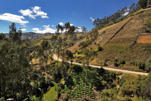 Road slices through rolling hills on the way to Chugchilan