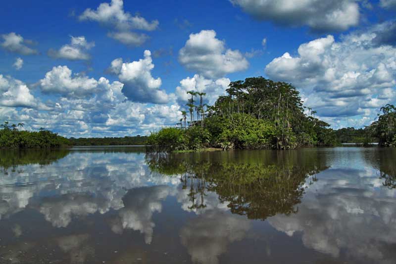One of Four Lagoons in Cuyabeno National Park in the Ecuadorian Amazon
