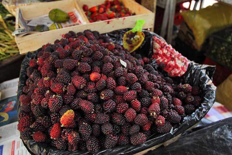 Mora Berries (a Type of Blackberry From Which Ecuadorians Make Delicious Jam and Juice) at Market in Gualaceo, Near Cuenca