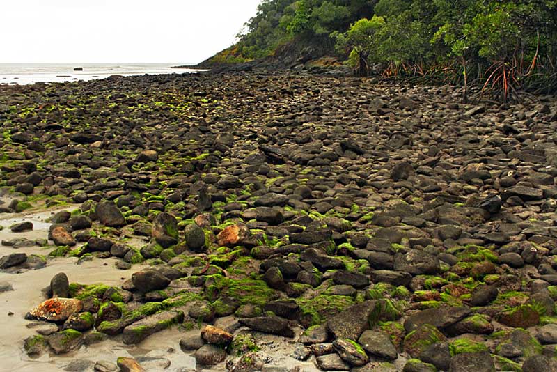 Mossy Rocks Litter the Beach at Australia's Cape Tribulation