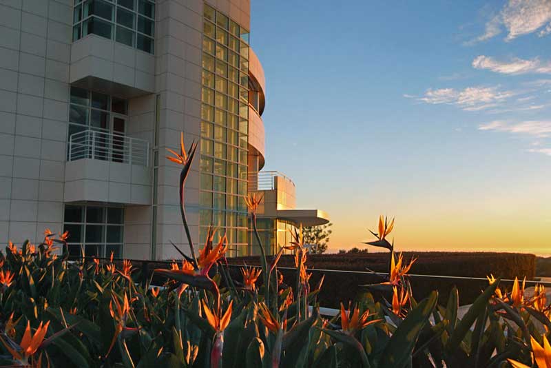 Setting Sun Illuminates Getty Museum and Birds of Paradise in Los Angeles