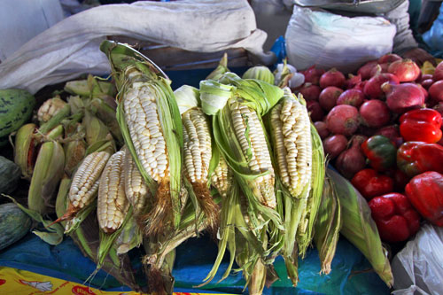 Photo of this corn at the San Pedro Markt in Cusco nearly cost me a dollar