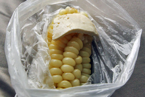 Corn on the cob - Choclo - served with a chunk of cheese, is available from street vendors throughout Ecuador and Peru