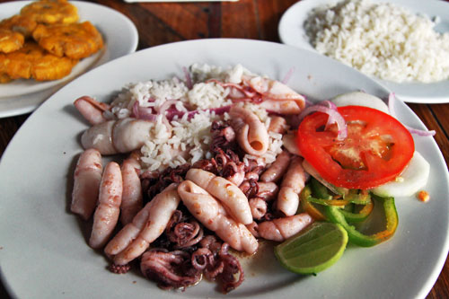 Fried calamari with rice and platanos (fried green plantains), a favorite on the coast of Ecuador