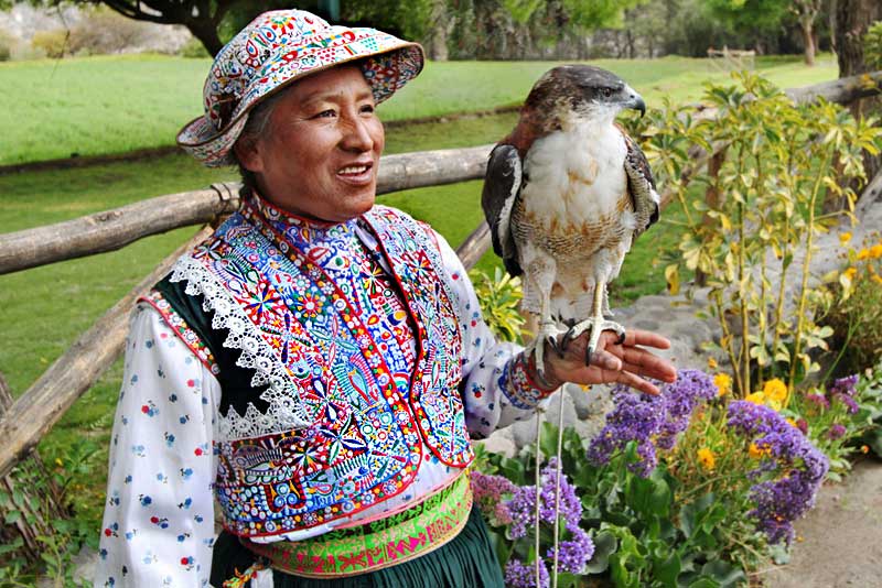 Red-Backed Hawk and Handler at the Mansion of the Founder of Arequipa, Peru