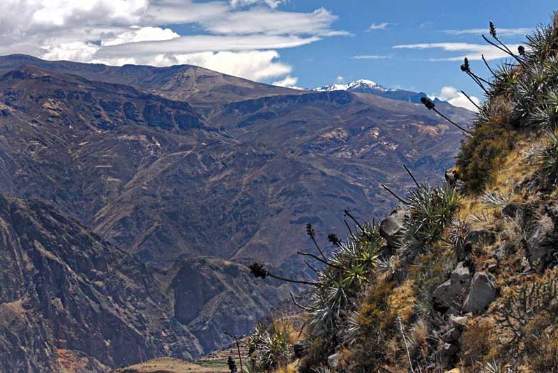 Rugged Mountains Make up Most of Colca Canyon Terrain, near Arequipa, Peru