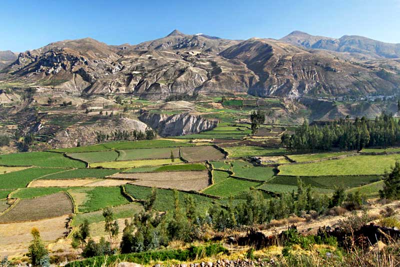 Patchwork Fields Tucked Between Mountains in Colca Canyon, Near Arequipa, Peru