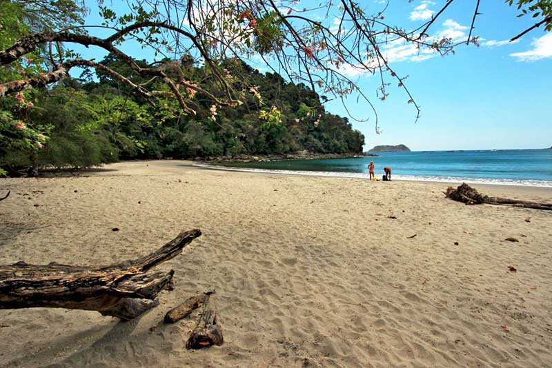 Stunning Beach at Manuel Antonio National Park, Costa Rica
