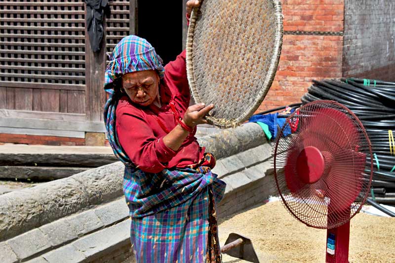 Winnowing Rice to Remove the Wheat From the Chaff at Changu Narayan, Nepal