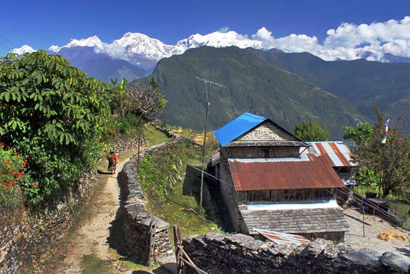 Woman Heads Down to the Rice Fields in the Small Village of Pumagaon in the Himalayas of Nepal