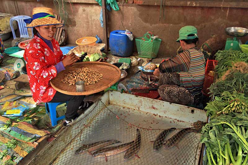 Produce and Fresh Caught Catfish at Phsar Nath Market in Battambang, Cambodia