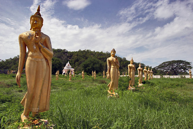 Dozens of standing Buddhas in a field of untended grass near a disintegrating temple