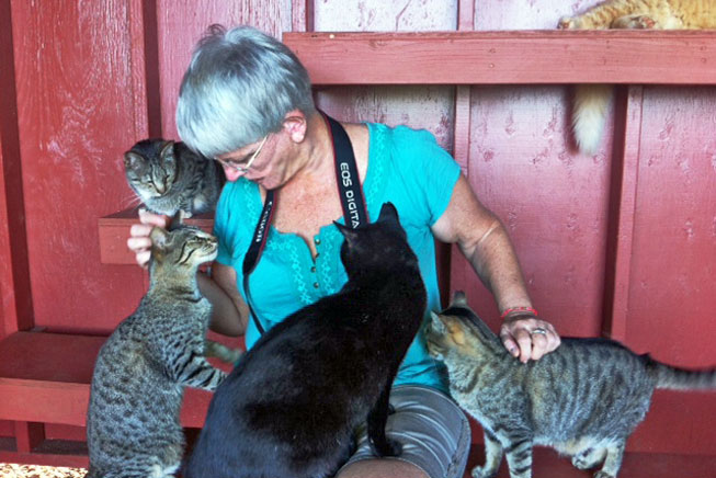 Lana'i Animal Rescue Center, Hawaii