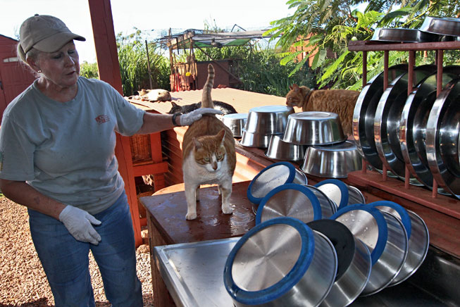 Lana'i Animal Rescue Center, Hawaii