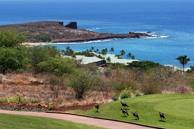 Challenge at Manele Bay golf course, Four Seasons Resorts Lanai, Hawaii