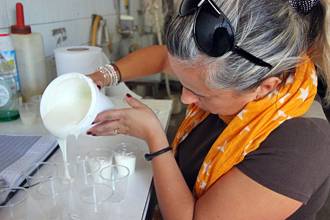 Sampling the delicious organic Biogust yogurt from Granja la Selvatana in Campllong, Spain