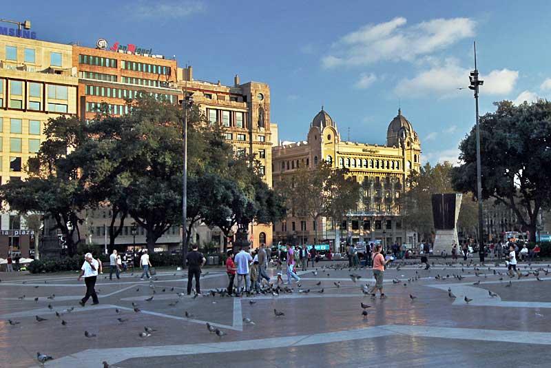 Pigeons Flock to Plaza Catalunya in the Historic Center of Barcelona, Spain
