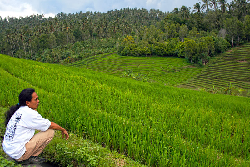 Contemplating the Green Rice Terraces of Bali