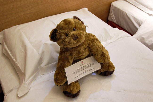 Teddy Bear companion at Winford Manor Hotel in Bristol, England