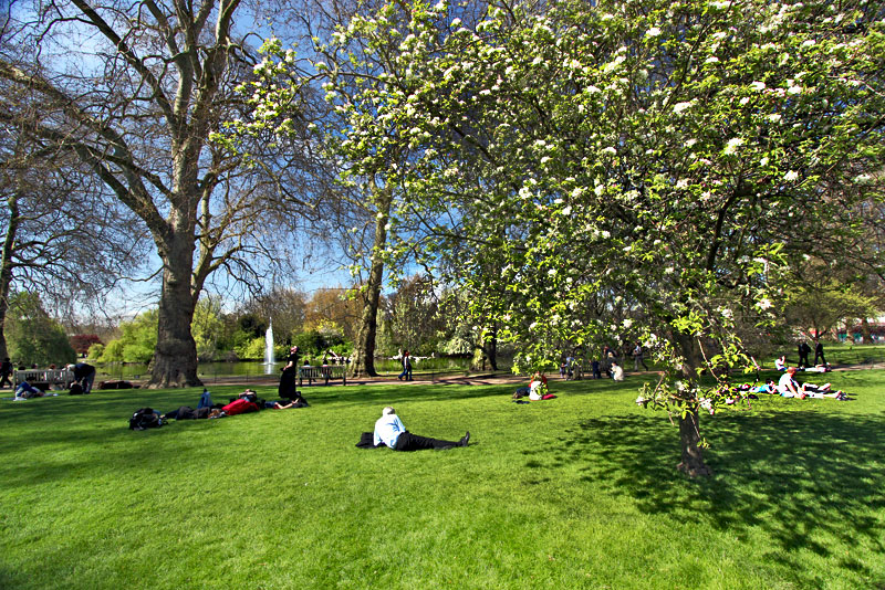Spring in Full Bloom Attracts Londoners to St. James Park