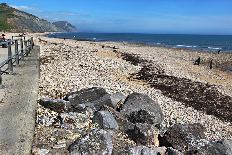 Shingle Beaches of Charmouth, on England's Jurassic Coast, Yield a Wealth of Ancient Fossils