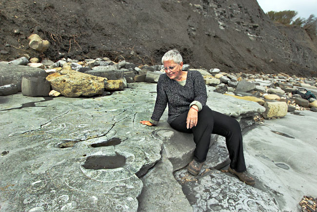 I examine scores of fossils on the "Ammonite Pavement" in Lyme Regis