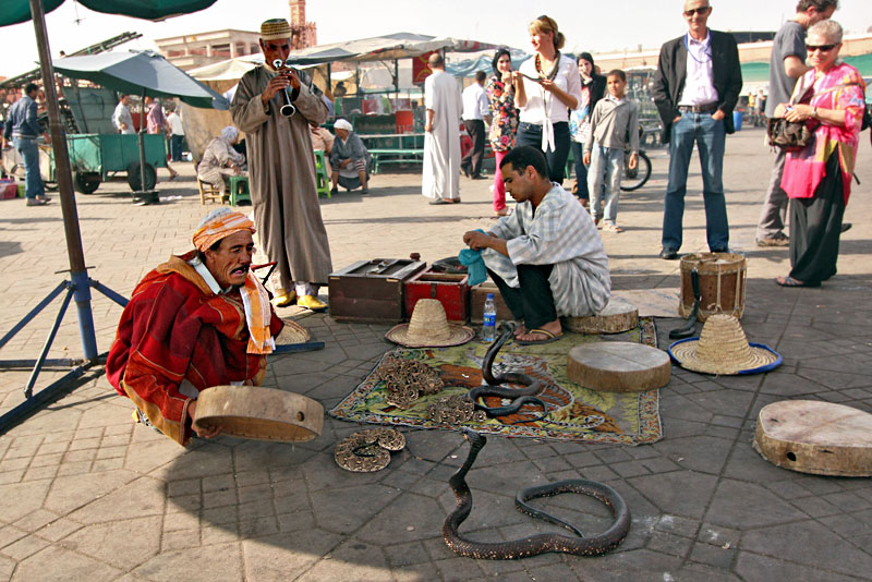 Snake Charmers Tempt Fate With Poisonous Pit Vipers at Djemaa El-Fna Souk in Marrakech, Morocco