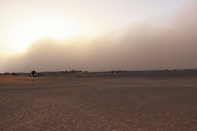 Surviving A Sandstorm In The Sahara Desert While Riding A Camel