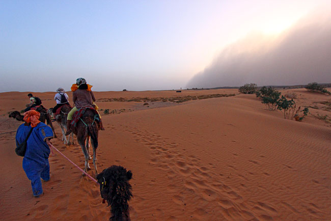 Halfway through our camel ride the sandstorm climbed the dunes and hit us full force