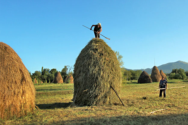 Making the haystacks