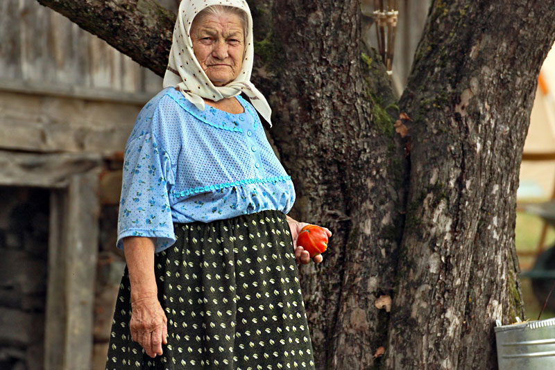 Woman in Romanian Village of Breb Picks Vegetables from Her Garden for Dinner