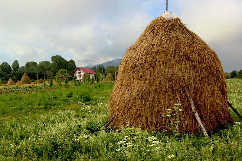 Following the fall harvest, farm gardens are surrounded by newly made haystacks in Breb Romania, located in the northern part of Transylvania