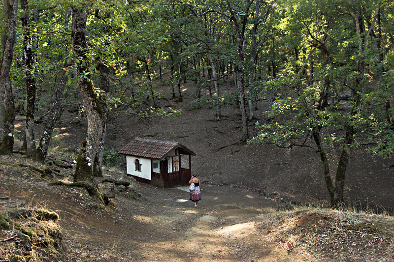 Tiny chapel in the Bulgarian woods near the historic village of Yasna Polyana