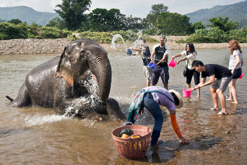Guests Give Elephants a Bath at Elephant Nature Park in Northern Thailand