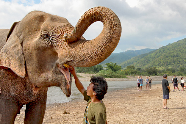 Mahout rubs the elephant's tongue after his bath at the river