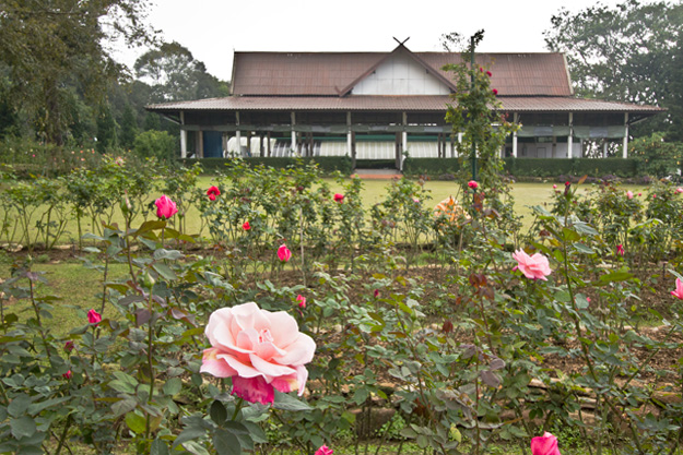 Roses in the gardens that frame the "Log Cabin," one of the nine Royal residences at Bhubing Palace
