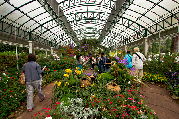 Greenhouse at Bhubing Palace is a riot of color